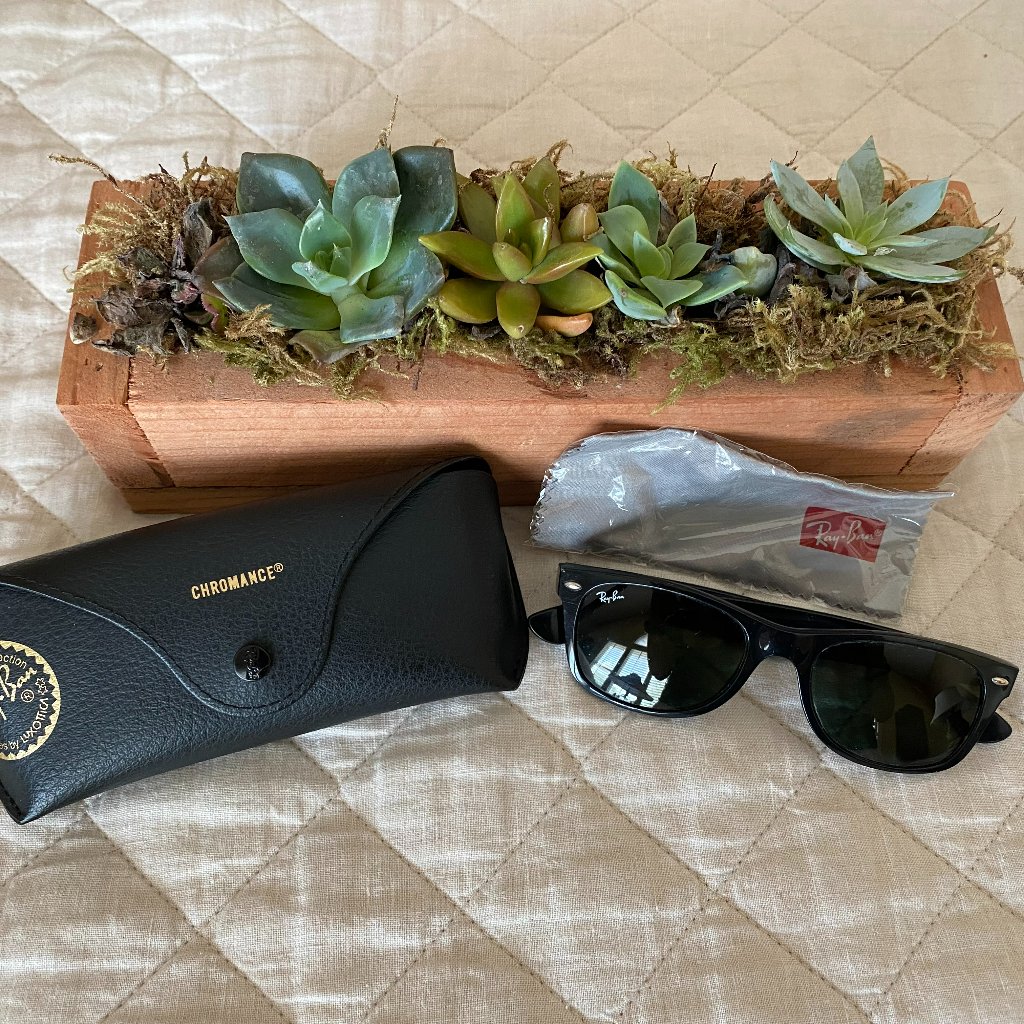 Ray Ban New Wayfarer Classic_green Lenses